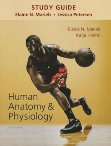 Study Guide For Human Anatomy & Physiology