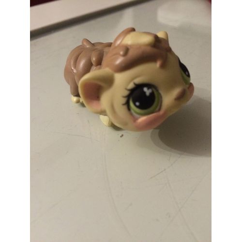 Petshop Cochon Dinde Beige 
