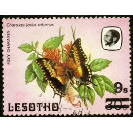 Timbre Oblitéré Lesotho, Foxy Charaxes, Charaxes Jasius Saturnus, 9s, 30s
