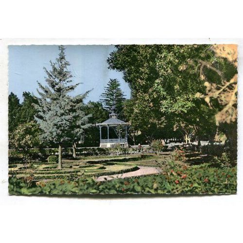 Carte Postale - Square Louis-Laurent - Jardin Public - Perrégaux - Algérie Française