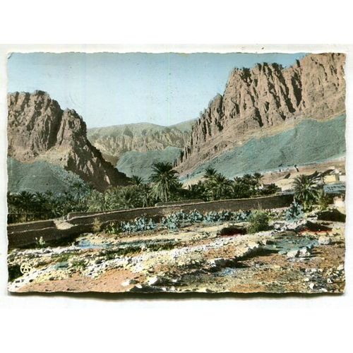 Carte Postale - Les Gorges D' El-Kantara - Algérie