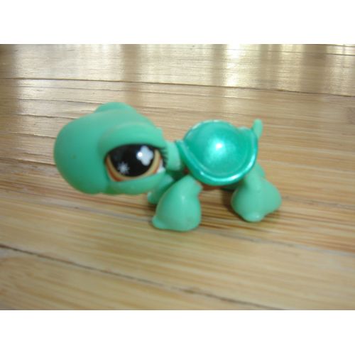 Petshop - Tortue À La Carapace Vert Brillant