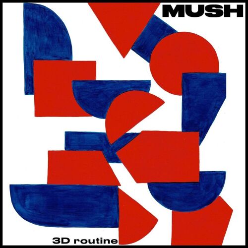 Mush ? Vinyle De Routine 3d