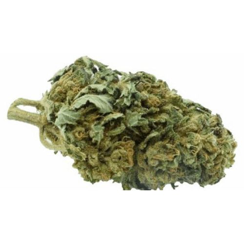Ak-47 Infusion Fleurs De Chanvre (10 Gramme) 