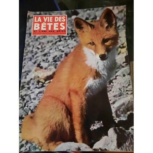 La Vie Des Bêtes Et L Ami Des Bêtes N°37