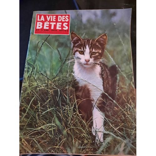 La Vie Des Bêtes Et L Ami Des Bêtes N°48