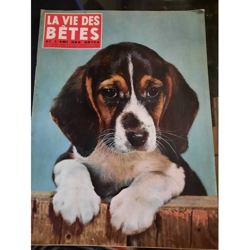 La Vie Des Bêtes Et L Ami Des Bêtes N°52