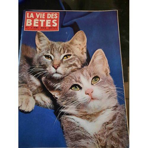 La Vie Des Bêtes Et L Ami Des Bêtes N°90