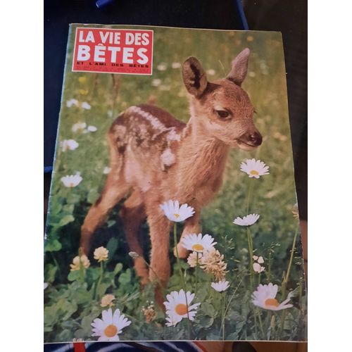 La Vie Des Bêtes Et L Ami Des Bêtes N°70