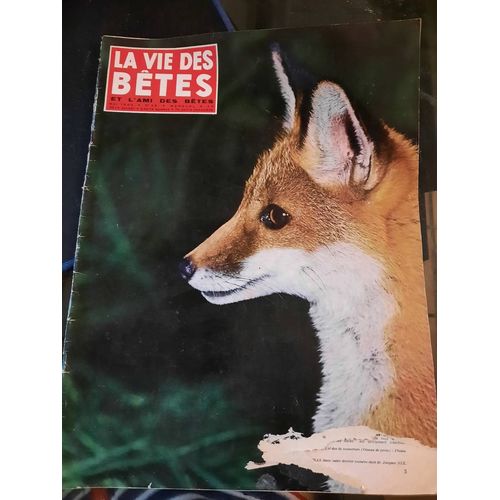 La Vie Des Bêtes Et L Ami Des Bêtes N°58