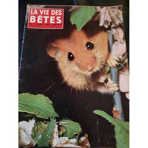 La Vie Des Bêtes Et L Ami Des Bêtes N°60