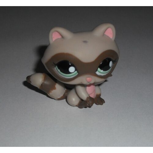 Petshop Raton Laveur N°1651
