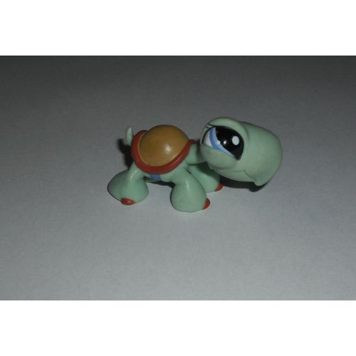 Petshop Tortue N°1652