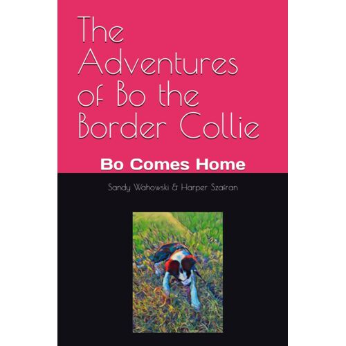 The Adventures Of Bo The Border Collie: Bo Comes Home