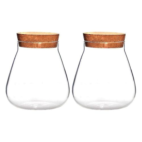 2pcs Creative Micro Landscape Vases Clear Bubble Bowls Plant Nourishing Bottles