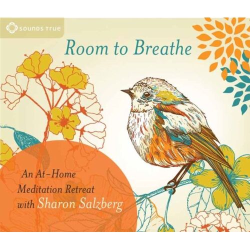Room To Breathe: An At-Home Meditation Retreat With Sharon Salzberg