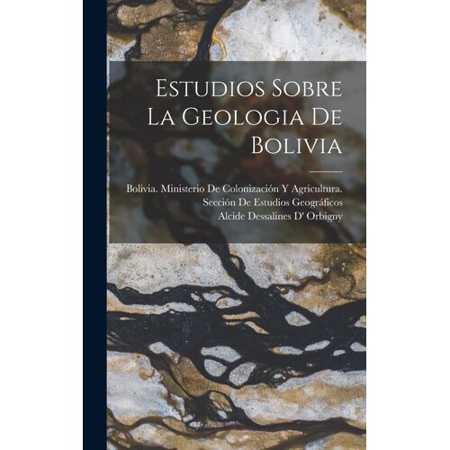 Estudios Sobre La Geologia De Bolivia
