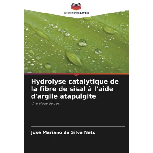 Hydrolyse Catalytique De La Fibre De Sisal À L'aide D'argile Atapulgite