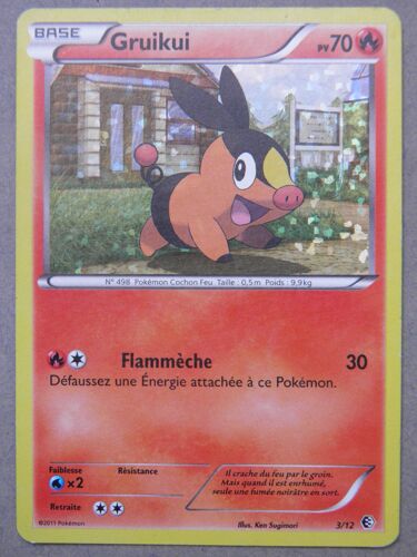 Pokemon - Gruikui - 3/12 - Promo Holographique