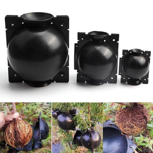 Plante Ro18th Ball Case Pour Arbre Fruitier, Boîte À Racines, Jardinières, Greffe, Élevage, Outils De Jardin, Fournitures, 5cm, 8cm