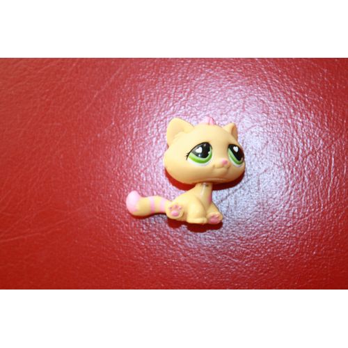 Petshop Chat De Gouttiere 552