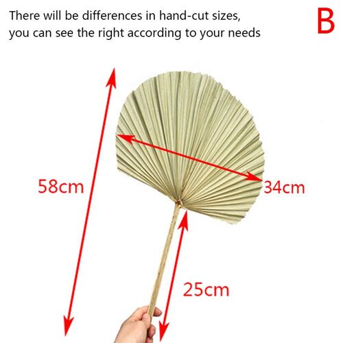 Fleur séchée en feuille de palmier en éventail, 1 pièce, réception de fenêtre, décoration murale, bricolage artistique, pour Arrangement d'arc de mariage