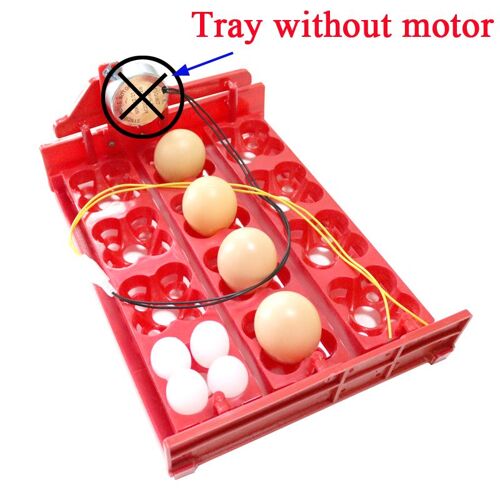 Incubateur D'oiseaux Jetables, Équipement D'éclosion D'oiseaux, Accessoires De Bricolage, Tour René, Moteur 220v, 110v, 12v, 12 ¿Ufs, 48 ¿Ufs