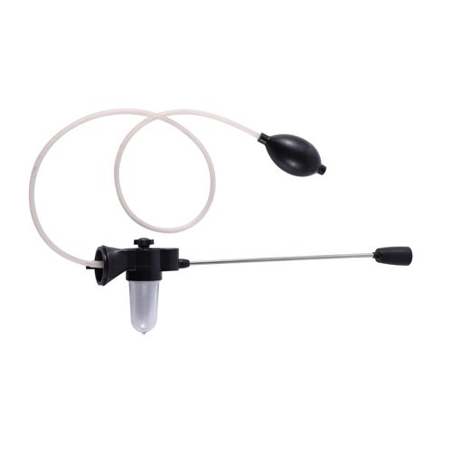 Pollinisateur De Tomates, Pêche, Poirier, Kiwi, Fruits Et Fleurs