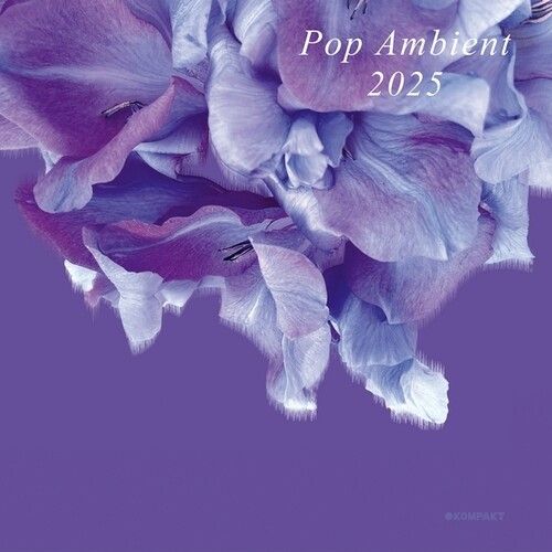 Pop Ambient 2025 / Various