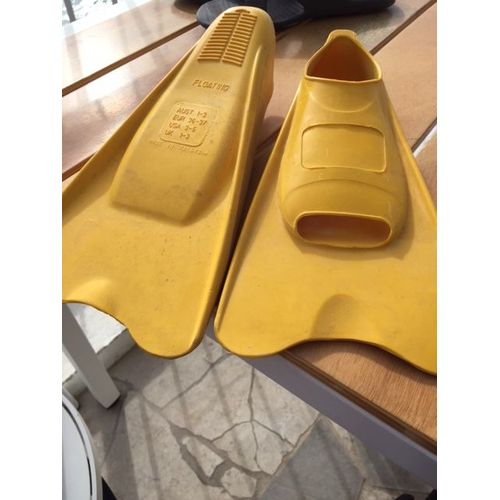 Palme Natation T36:37