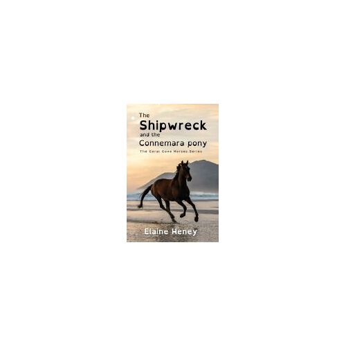 The Shipwreck And The Connemara Pony - Dyslexia Friendly