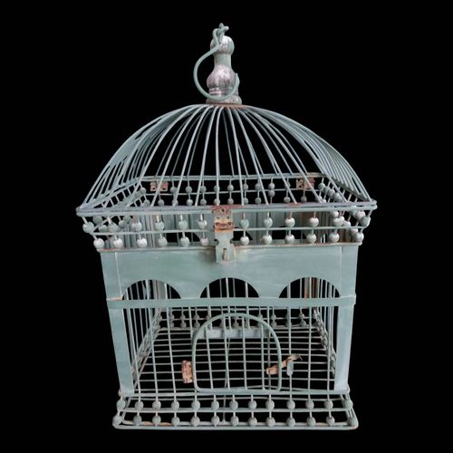 Cage Oiseau Vert