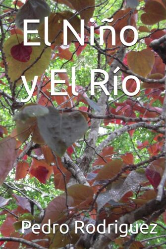 El Niño Y El Río