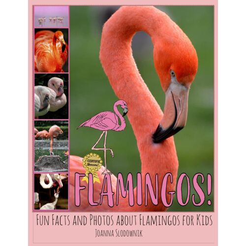 Flamingos! Fun Facts And Photos About Flamingos For Kids (This Amazing World Facts And Photos)