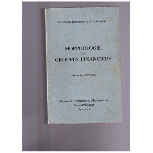 Morphologie Des Groupes Financiers