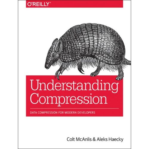 Understanding Compression
