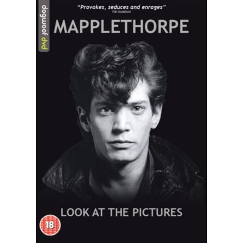 Mapplethorpe Look At The Pictures