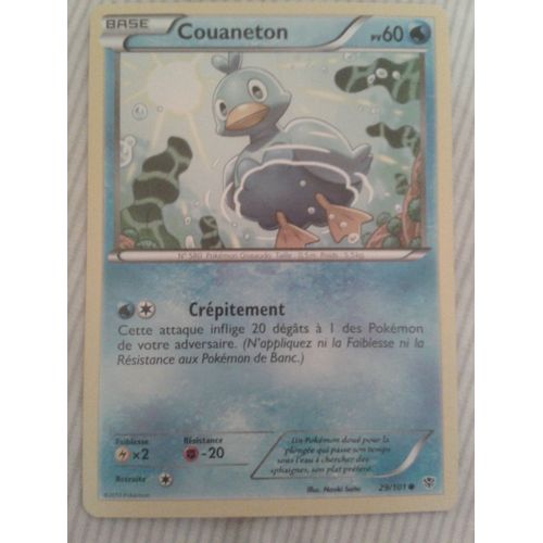 Carte Couaneton Pv60 29/101
