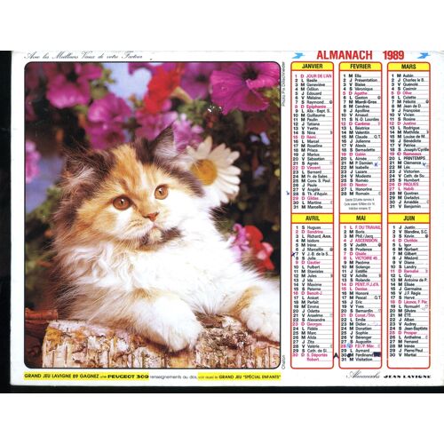 Almanach Des Ptt 1989 - Département 15 (Cantal)