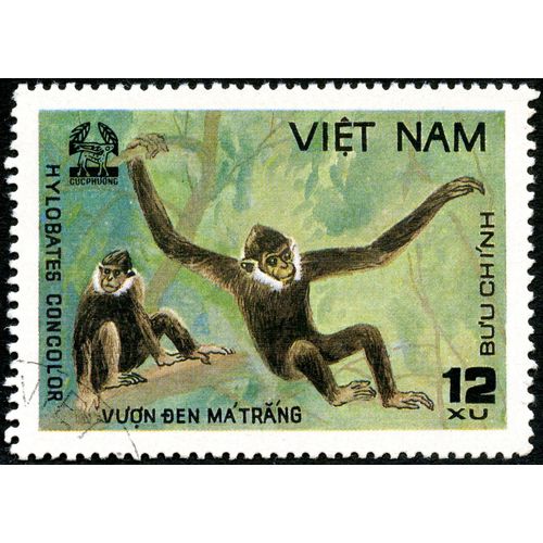 Timbre Oblitéré Viet Nam, 12 Xu, Buu Chinh, Vuon-Den Matrang, Hylobates Concolor
