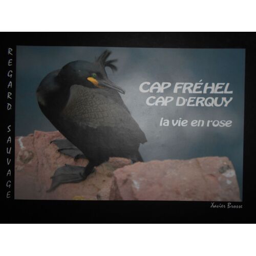 Cap Fréhel Cap D'erquy, La Vie En Rose
