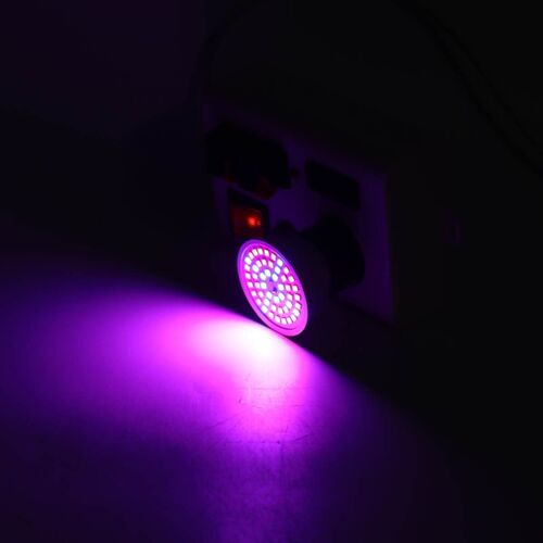 Lampe Horticole De Croissance Led, 300, Spectre Complet, Pour Culture De Plantes, Bulbes, Éclairage Pour Tente Et Serre, Prise E27