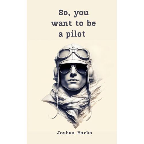 So, You Want To Be A Pilot?: A Comedic Descent Into The World Of Flight: 2 (How To Get A Job)