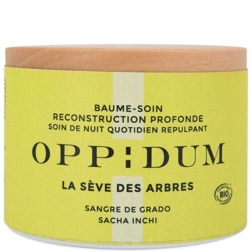 Baume-Soin La Sève Des Arbres - Oppidum - Baume-Soin Reconstruction Profonde 