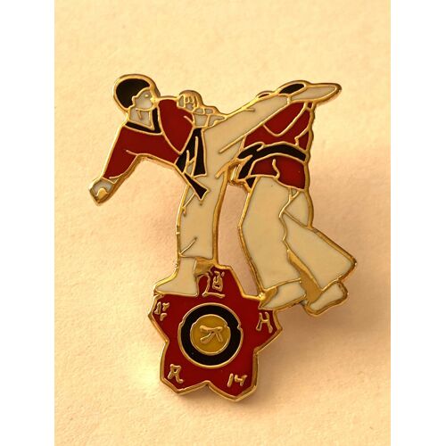 Pins Sport Judo
