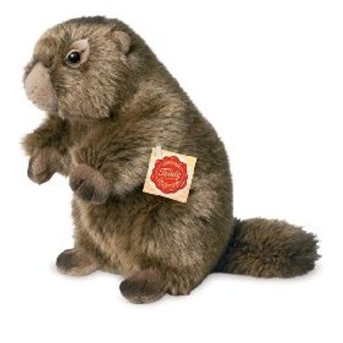 Peluche Marmotte Hermann 20 Cm (20 Cm)