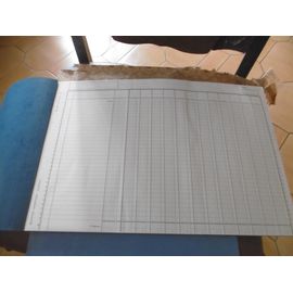 Manifold 285x440 Mm 13 Colonnes Sur 1 Pages 50 Feuilles Dupli 31 Lignes Le Dauphin 801350