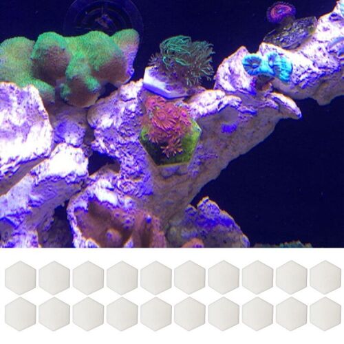 Disques De Corail En Céramique, Base Hexagonale, Fournitures Pratiques Pour Aquarium