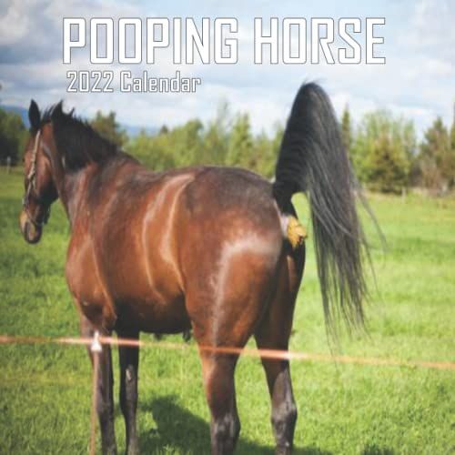 Pooping Horse Calendar 2022: Funny Horse Lover Gag Joke Gift For Horse ,Women, Men,Men Coworker Teens Great Lovers Birthday, White Elephant Party, ... Stocking Filler Or Stuffer, Christmas