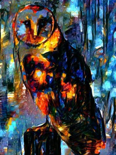 Big Notebook Vintage Illustrations Giftbook: Hardcover Owl Art Journal Motif